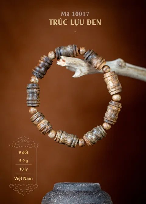 10017 | TRÚC LỰU ĐEN_img